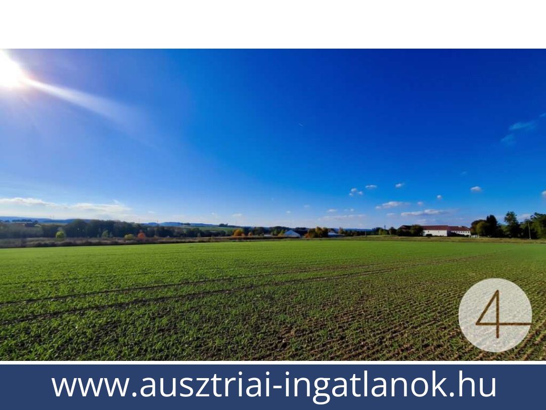 ausztriai-ingatlanok-ried im innkreis-4910-20260118015711-0061101004.jpg ausztriai-ingatlanok-ried im innkreis-4910-20260118015711-0061101004.jpg